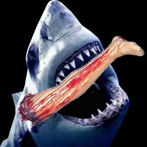 sharks and landmines